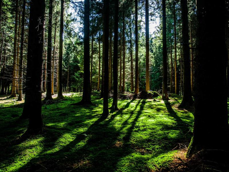 公园20分钟<br>lyv4augd.cn 精神快充法则